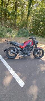 Benelli Leoncino 500 - BENELLI MOTORRAD
