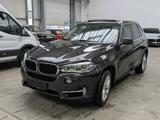 BMW X5 xDrive 30d PANO HUD ACC MEMORY R-KAM - : Unfallwagen