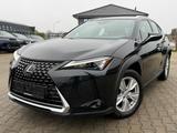 Lexus UX250h Hybrid Luxury Line - Lexus UX aus 2023
