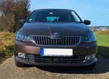 Skoda Fabia 1.2l TSI 81kW Edition  - Skoda Fabia: Edition