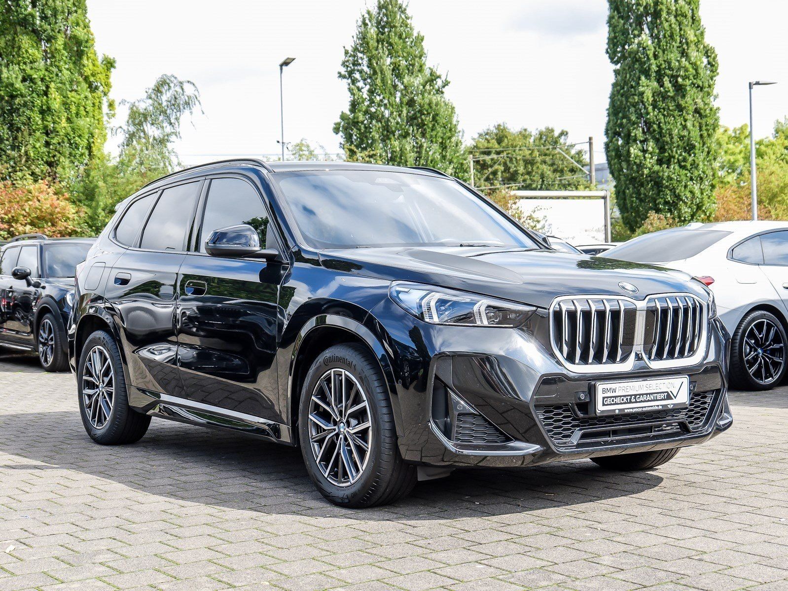 BMW X1 sDrive20d M Sport HUD PANO ACC foto 6