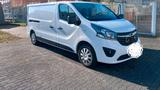 Opel Vivaro Transporter - Opel: Transporter