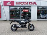 Honda MSX 125 Grom ABS Neu mit TZ !