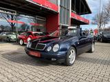 Mercedes-Benz CLK 320 - Elegance - Top Zustand - Mercedes-Benz CLK 320 in München