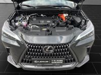 Lexus NX 450h - Vorschau Bild 20