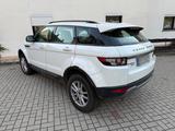 Rover Range Rover Evoque - Rover Gebrauchtwagen