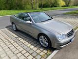 Mercedes-Benz CLK 350 Cabrio - Mercedes-Benz CLK 350: Cabrio