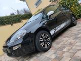 Fiat Punto Evo, Sport Racing - Fiat Punto Evo: Racing