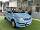 Fiat Panda 1.2 8V MyLiv,Klima,EF, TÜV/ AU-NEU,2Hand - Fiat Panda Gebrauchtwagen in Frankfurt