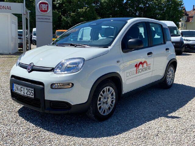 Fiat Panda Pandina Cross
