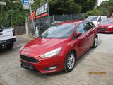 Ford Focus Turnier Business - Ford Focus: Rot