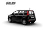 Fiat Panda (Pandina) ICON Hybrid Parksensoren Klimaan - Fiat Panda: Schwarz