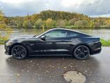 Ford Mustang GT 5.0 V8 US Performance Package+Klappe - Ford Mustang: Performance