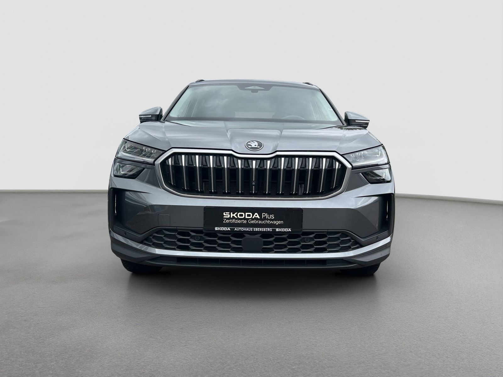 Skoda Kodiaq - Bild 3