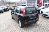 Fiat Panda Pop Klima 8 fach bereift - Fiat Panda: Pop