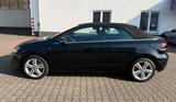 Volkswagen Golf VI Cabriolet Life BMT DSG TOP ZUSTAND/1HAND - mit Diesel-Antrieb: Cabrio, Automatik