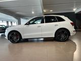 Audi SQ5 3.0TDI plus tiptronic quattro B&O CARBON ACC - Audi SQ5 in Osnabrück