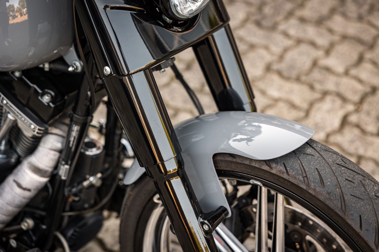 Fahrzeugabbildung Harley-Davidson FLSS SOFTAIL SLIM S 110 cui - Heckumbau -