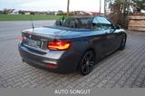 BMW 230i Sport-Aut. Cabrio *M-SPORTPAKET*H&K*KAMERA* - : Cabrio, Sportpaket