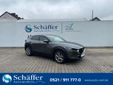 Mazda 3 CX-30 e-SKYACTIV DRIVE SELECTION AUTOM. MAT... - Mazda 3 in Bielefeld
