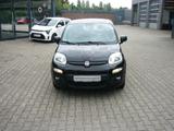Fiat Panda 1,2Easy,Klima,Nebel,Allwetterreifen - Fiat Panda in Hamm