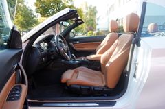 Fahrzeugabbildung BMW 230 i Cabrio M Sport Kamera Leder Navi LED ACC!