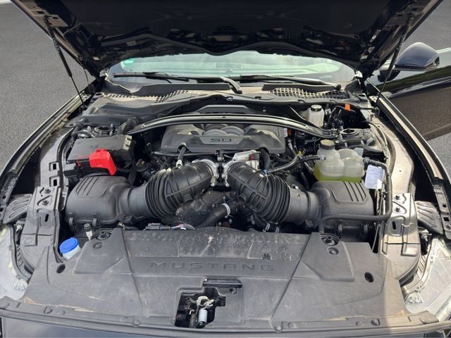 Fahrzeugabbildung Ford Mustang 5.0 V8 GT Convertible