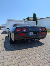 Corvette C5 5.7 Cabrio Autom. - - Corvette C5 Gebrauchtwagen