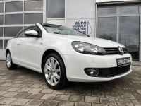 VW Golf Cabriole 2.0 TDI LIFE 2.HD SHZ NAV PDC 17