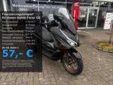 Honda Forza 125 *Special Edition*6 Jahre Garantie*Schw - Honda Forza 125 Special Edition
