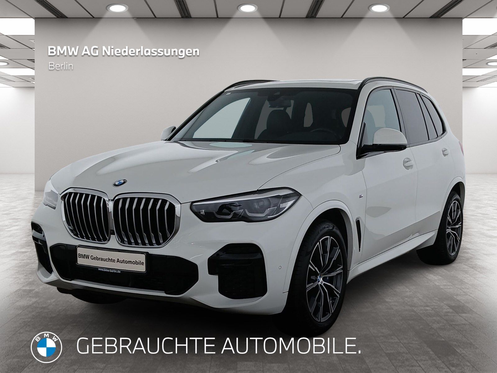 BMW X5 xDrive30d M Sport Standheizung AHK Kamera