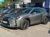 Lexus UX 250 h Launch Edition LED*AHK*NAVI*R-CAM* - Lexus UX: Launch Edition