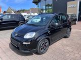 Fiat Panda City Life - Fiat Panda Gebrauchtwagen in Augsburg