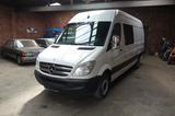 Mercedes-Benz Sprinter Kasten 313 Mixto Doka Maxi TüvNeuStandh - Mercedes-Benz Sprinter: 313 Maxi