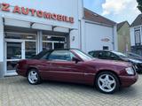 Mercedes-Benz E 220 Cabrio Sportline  Klima AMG 17 Zoll - Mercedes-Benz E 220: Rot, Leder