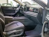 Volkswagen Passat Business 1,5l eTSI 7-Gang-DSG Aktion PANO - Volkswagen Passat: 5b