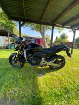 Honda CB600F Hornet 2007 - Offers