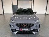 Cupra Formentor VZ 2.0 TSI  4Drive|DSG|ACC|LED - Cupra Formentor Gebrauchtwagen in Wuppertal