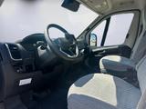 Dethleffs Globetrail 540 DR Fiat Automatik - Dethleffs Globetrail 540 DR Automatik