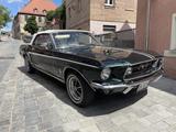 Ford Mustang Cabrio in einmaliger Farbkombi 