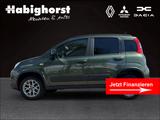 Fiat Panda 4x4 PDC Winterpaket DAB SHZ - Fiat Panda: Kleinwagen