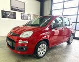 Fiat Panda 1.2 Pop+5 Türen+AHK+Klimaanlage+RCD+ZV/FB - gebrauchte Fiat Panda aus dem Jahr 2016