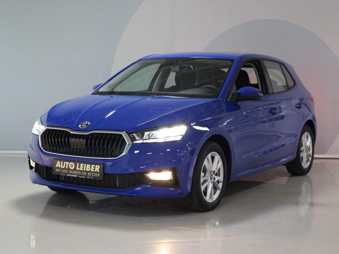 Fahrzeugabbildung SKODA Fabia 1.0 TSI Selection RFK/SHZ/APP/Keyless