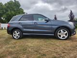Mercedes-Benz ML 350 BlueTEC 4MATIC - - Mercedes-Benz ML 350 in Magdeburg
