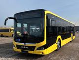 MAN Lion´s City C12, NEU,  mehrere Omnibusse !!!! - Omnibusse
