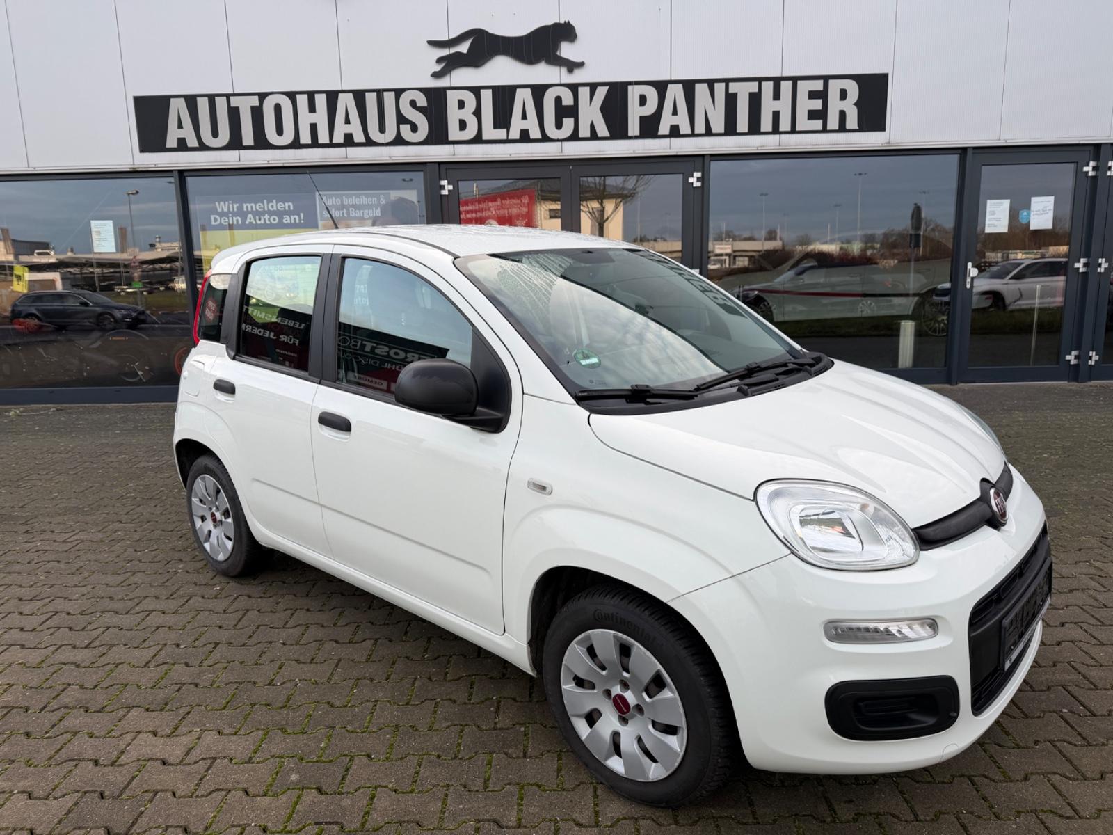 Fiat Panda Easy Modell 2019 1Hand Klima
