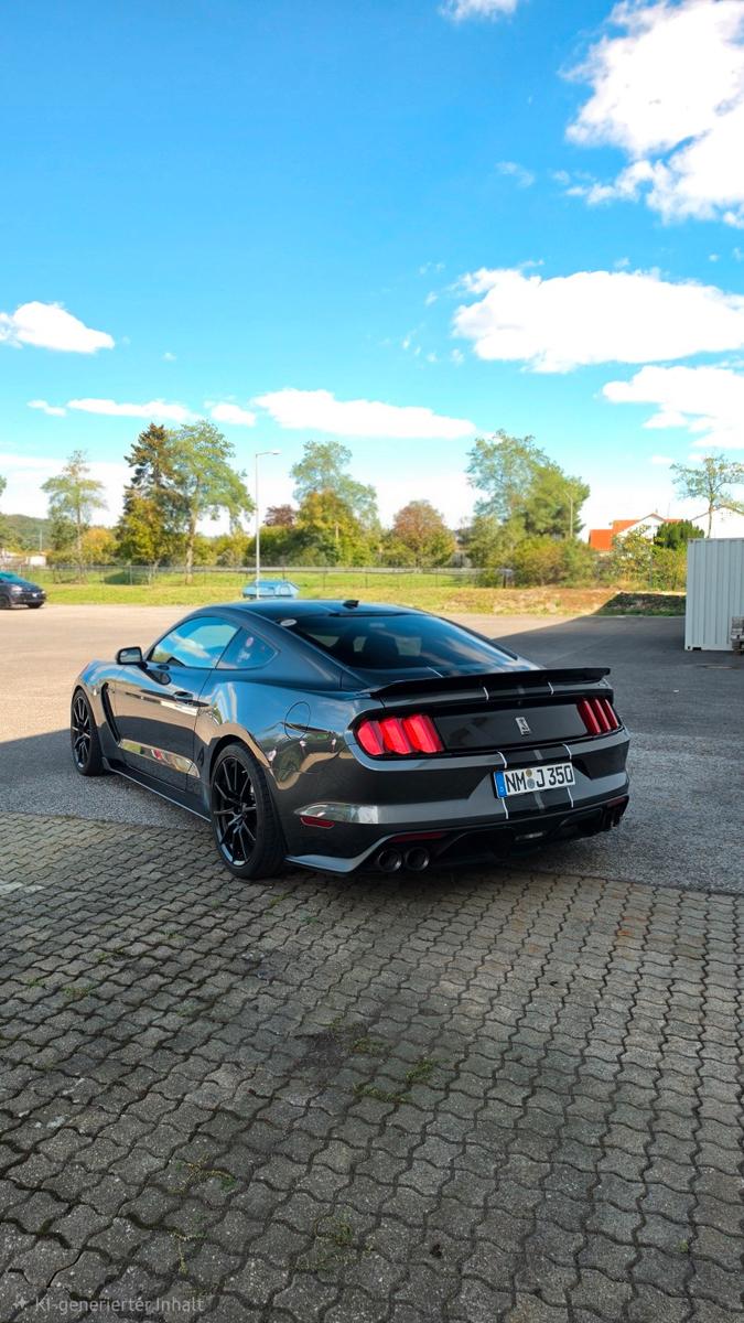 Ford Shelby GT350 | 533 PS | Handschalter | KW V3+