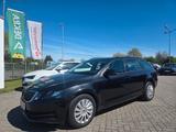 Skoda Octavia Combi Active - Skoda Octavia Active mit Benzin-Antrieb