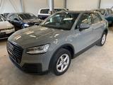 Audi Q2 30 TFSI GRA Leder Navi LED SHZ PDC VC - gebrauchte Audi Q2 aus dem Jahr 2019