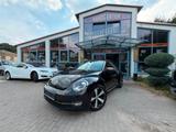 Volkswagen Beetle 1,4 SITZHEIZUNG XENON - Volkswagen Beetle: Kleinwagen